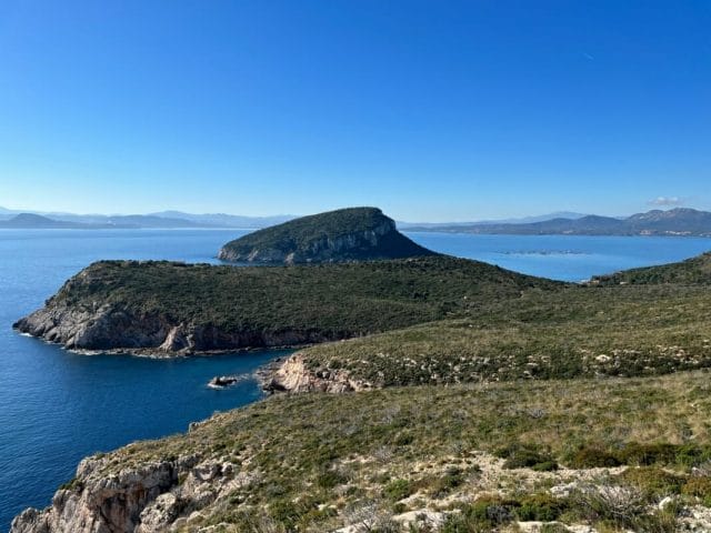 Blick auf die Insel Figarolo und Punta Filasca von der Straße hinauf zu Capo Figari
