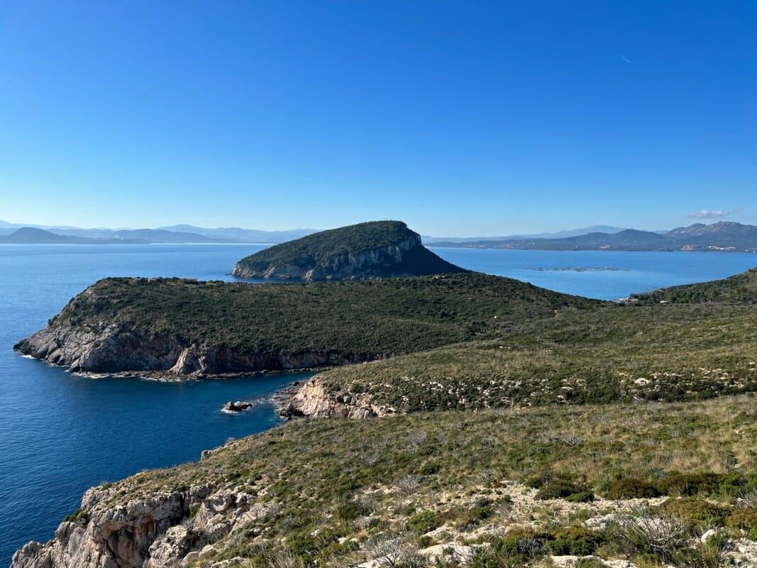 Vista de la isla de Figarolo y Punta Filasca desde la carretera que sube A Capo Figari
