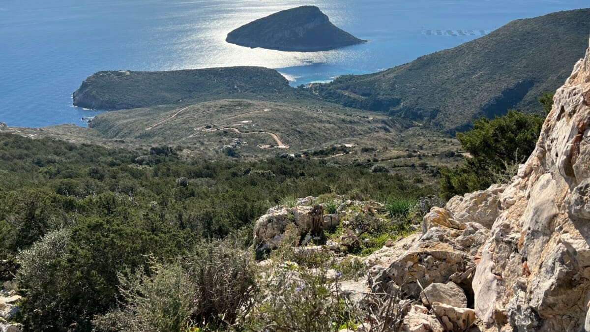 View of Figarolo Island from Sommita Capo Figari