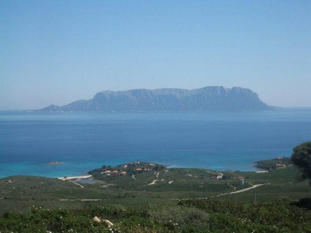 Golfo Aranci Madonna Del Monte Background Tavolara