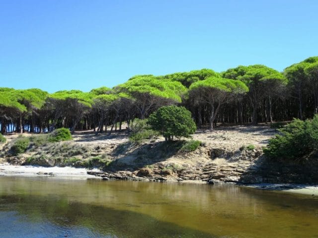 Playas de Budoni La Pineta