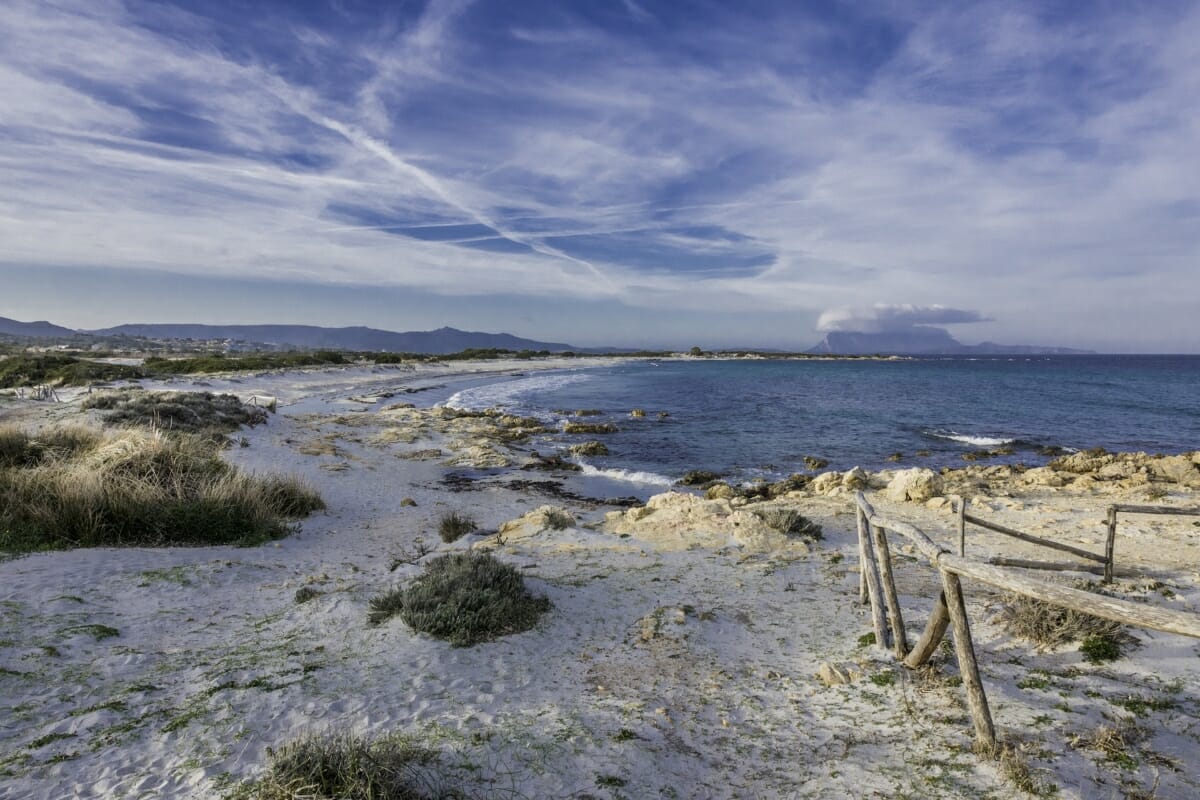 Strand mit Insel Tavolara im Hintergrund