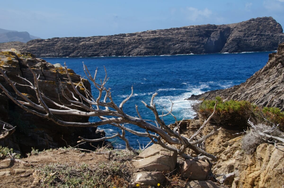 Blick über'die Insel Asinara