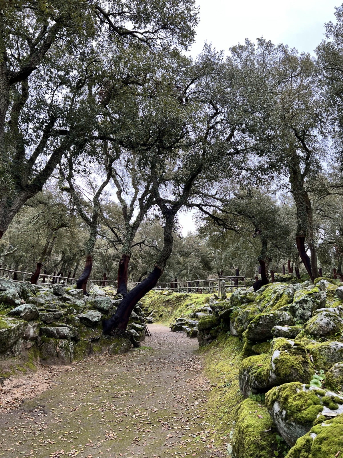 Walk from Source to Romanzesu Amphitheatre