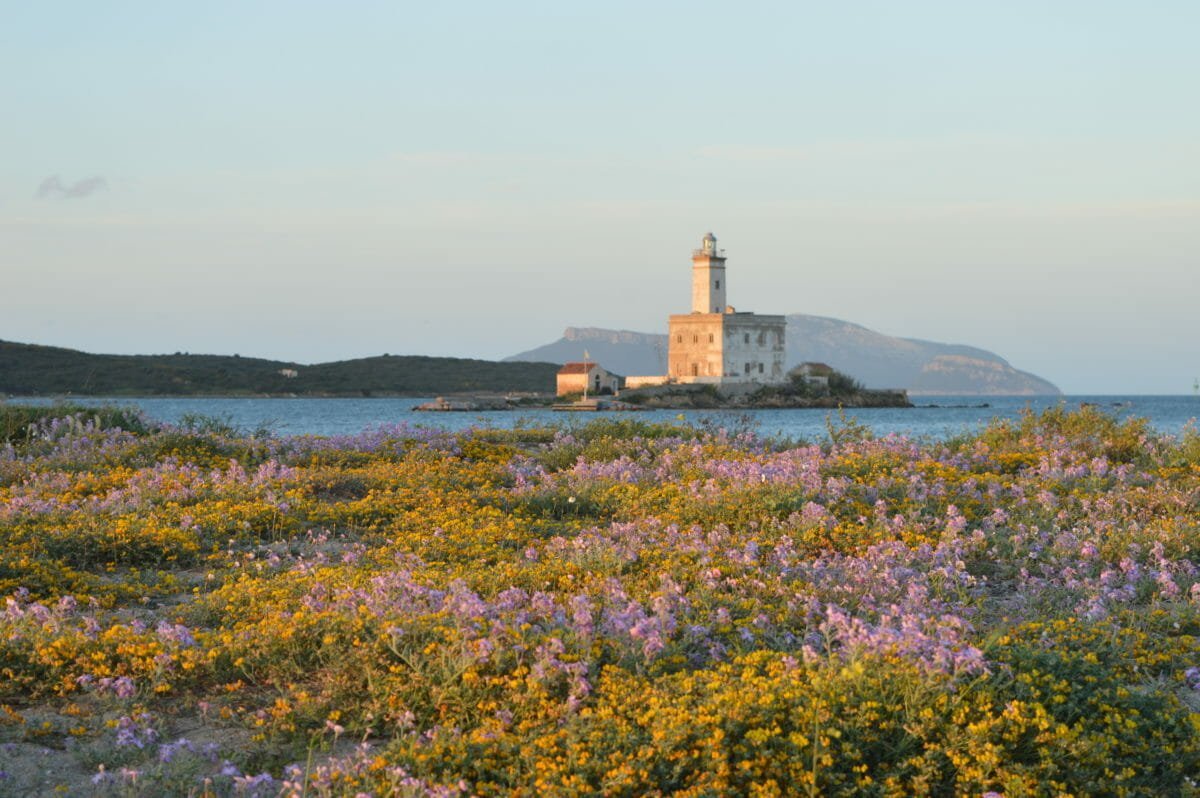 Olbia Lighthouse In Spring