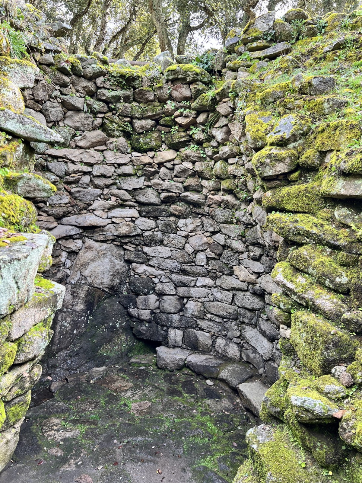 Photo du puits sacré de Romanzesu - Intérieur