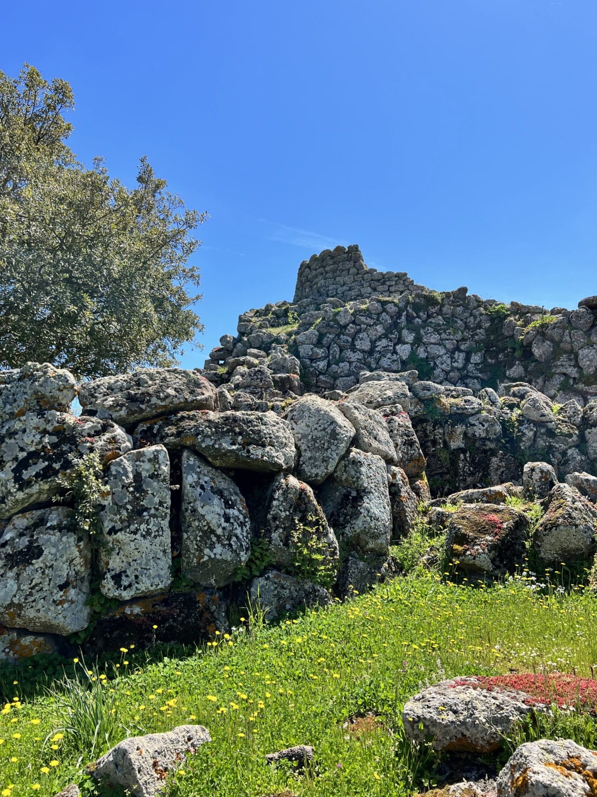 Kim Crumrine, Il Piccolo Fienile Rosso, Minibombo - Scaffale Basso - Foto 3