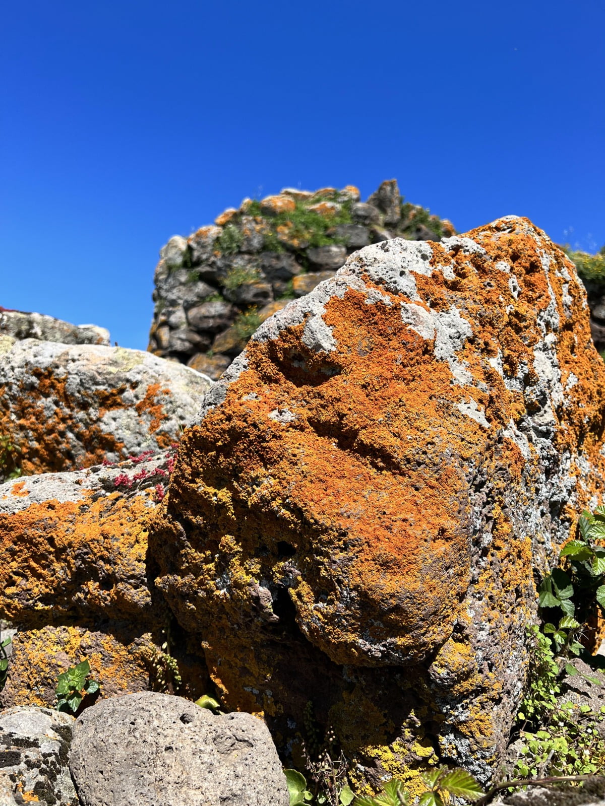 Roca con líquenes Nuraghe Arrubiu