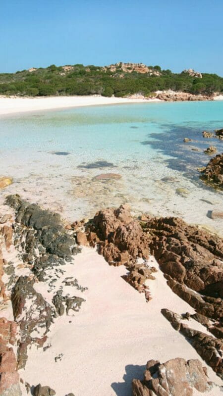 Playa Rosa Isla Budelli Archipiélago De La Maddalena Norte Cerdeña