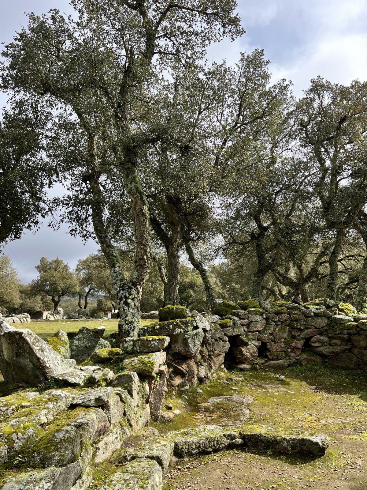 Visitar el yacimiento arqueológico de Romanzesu