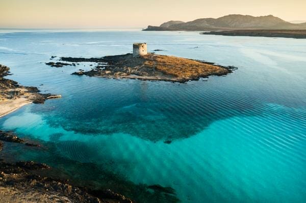 Vista Dell'Isola Asinara